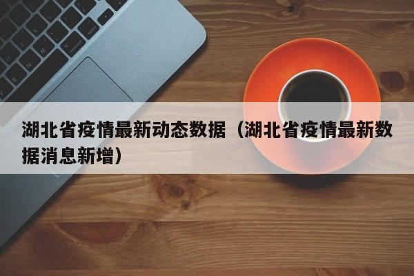 湖北省疫情最新动态数据（湖北省疫情最新数据消息新增）